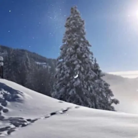 Mountain Chalet Ederalm 萨尔巴赫