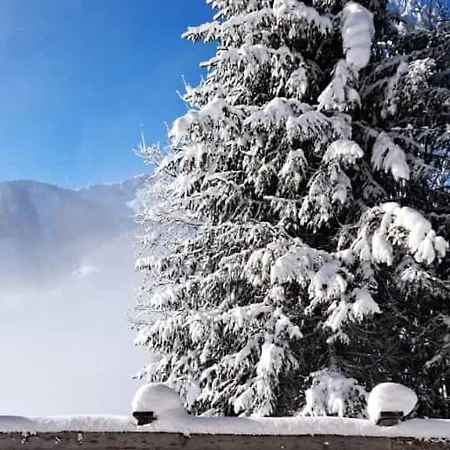 Mountain Chalet Ederalm